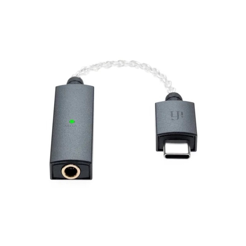 iFi Go link 2