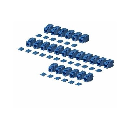 Startech CAT6 Keystone Jack 24-Pack/24-PACK180-Degree Toolless Blue