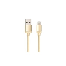 WG - Datový kabel Lightning MFI na USB-A, 1 metr, zlatá