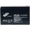 Fortron 12V/9Ah baterie pro UPS Fortron/FSP