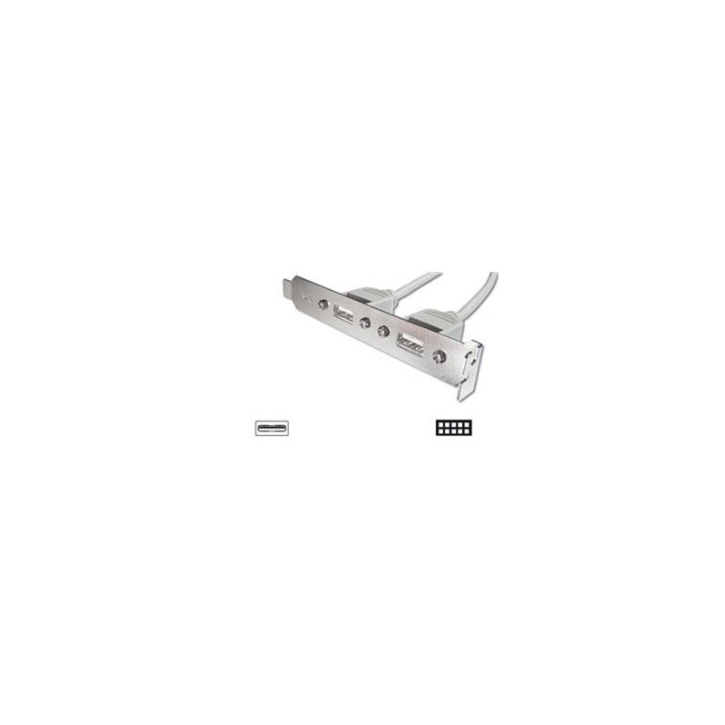 Digitus záslepka slotu s 2 USB porty + kabel 2x5pin 0,25m