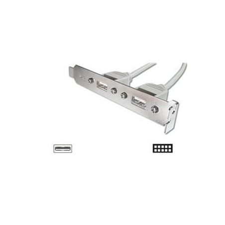 Digitus záslepka slotu s 2 USB porty + kabel 2x5pin 0,25m