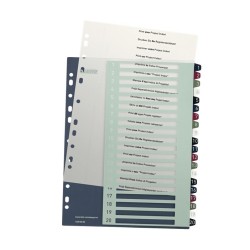 LEITZ Rejstříky Style - popisovatelné na PC, A4+ MAXI 1-20