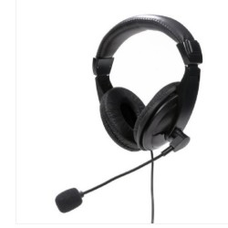 Platinet Fiesta Headset Stereo With Mic USB-A Digital Black