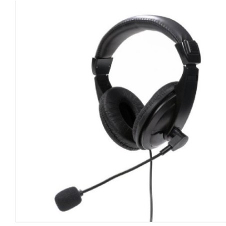 Platinet Fiesta Headset Stereo With Mic USB-A Digital Black