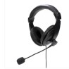 Platinet Fiesta Headset Stereo With Mic USB-A Digital Black