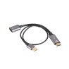 Lanberg HDMI(M)- DISPLAYPORT(F) ADAPTER 4K ON CABLE 20CM SILVER