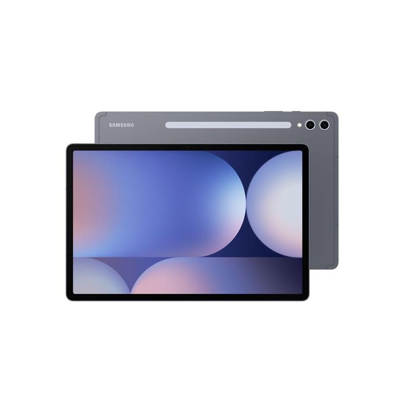 Samsung Galaxy Tab S10+/SM-X820/12,4"/2800x1752/12GB/256GB/An14/Moonstone Gray