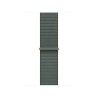 Watch Acc/46/Sage Sport Loop