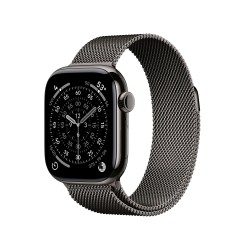 Apple Watch S11 Cell/42/Elegant Band/Slate MF8U4WFA
