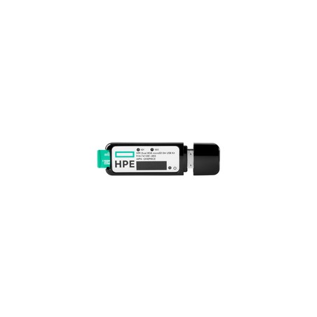HPE 32GB microSD RAID 1 USB Boot Drive