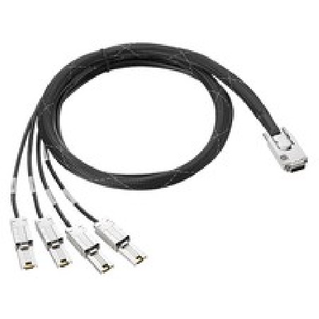 HPE MiniSAS HD to MiniSAS HD FO 1M Cbl