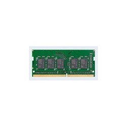 Synology D4EU01-8G