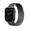 Apple Watch S11 Cell/46/Elegant Band/Slate MFD44MPA